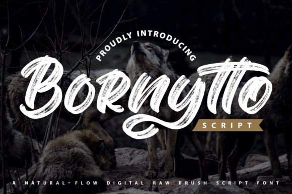 Bornytto Typeface Review: Elevating Digital Brand Identity