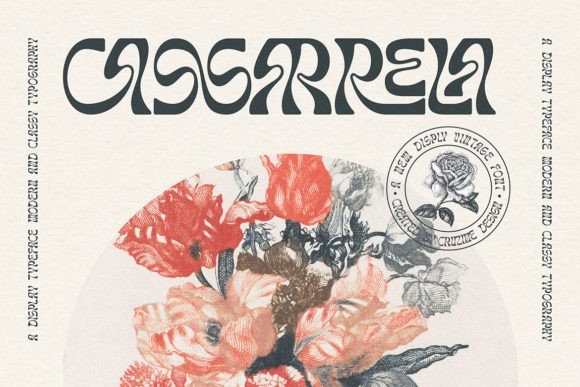 Cassarrela: A Designer’s Honest Review for Real Projects